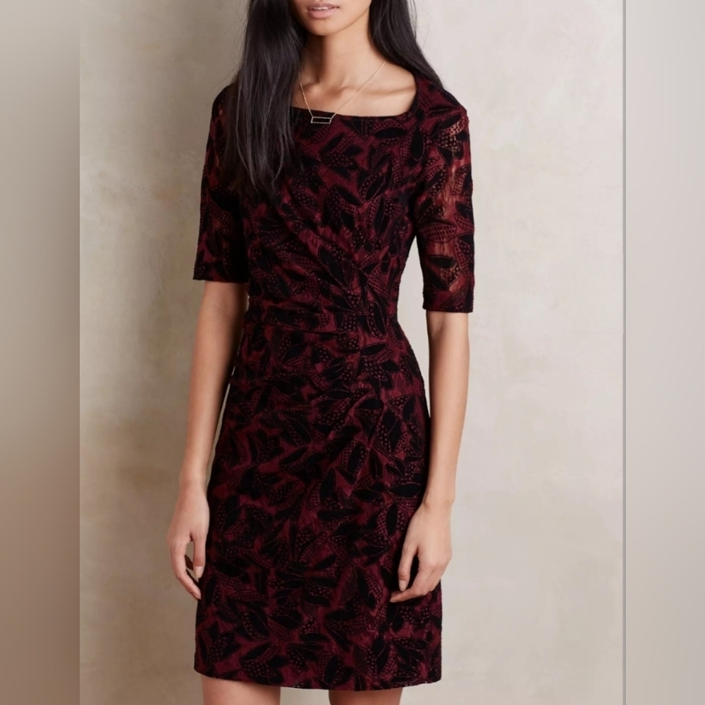 Maeve Burgundy and Black Lace Mini Dress